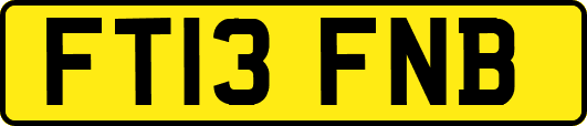 FT13FNB