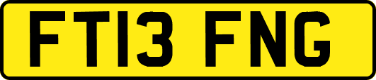 FT13FNG