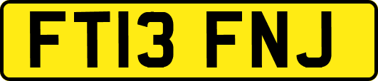FT13FNJ
