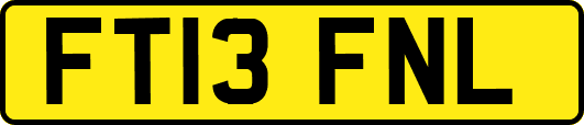 FT13FNL