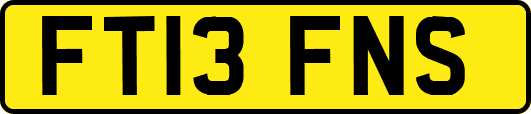 FT13FNS