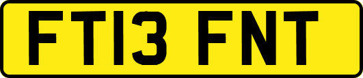 FT13FNT