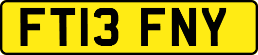 FT13FNY