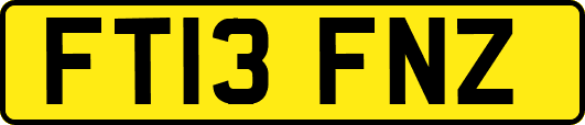 FT13FNZ