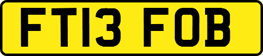 FT13FOB