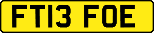 FT13FOE
