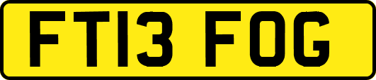 FT13FOG