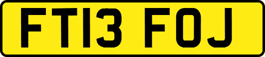 FT13FOJ