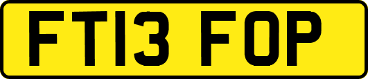 FT13FOP