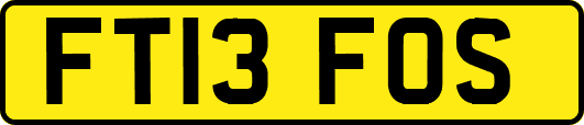 FT13FOS
