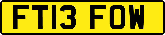 FT13FOW