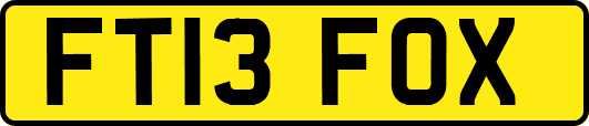 FT13FOX