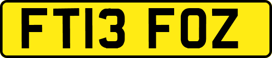 FT13FOZ