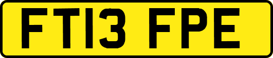 FT13FPE