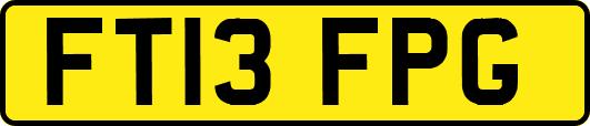 FT13FPG