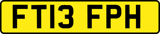 FT13FPH
