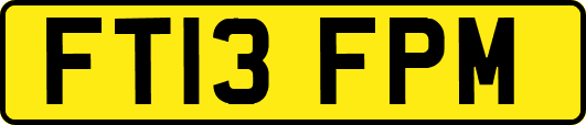 FT13FPM