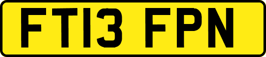 FT13FPN