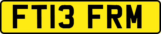 FT13FRM