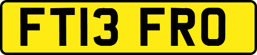 FT13FRO