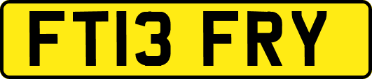 FT13FRY