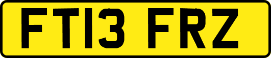 FT13FRZ