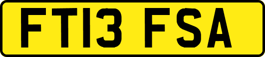 FT13FSA