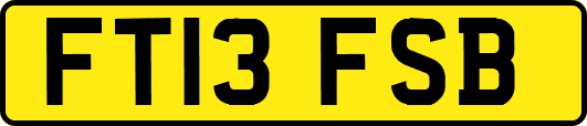 FT13FSB