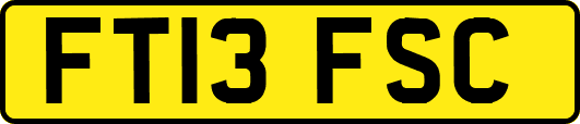 FT13FSC