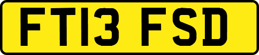 FT13FSD