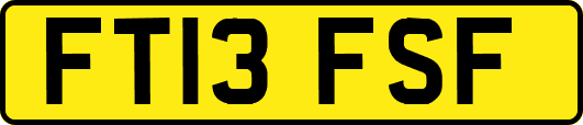 FT13FSF