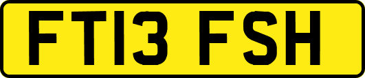 FT13FSH