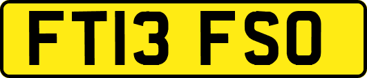 FT13FSO