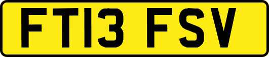 FT13FSV