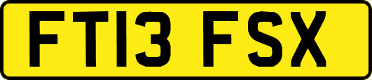 FT13FSX