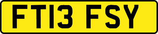 FT13FSY
