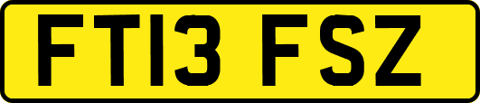 FT13FSZ