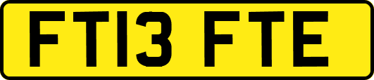 FT13FTE