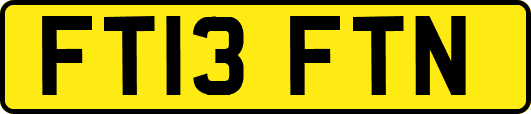 FT13FTN