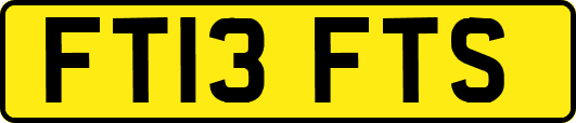 FT13FTS
