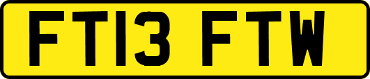 FT13FTW