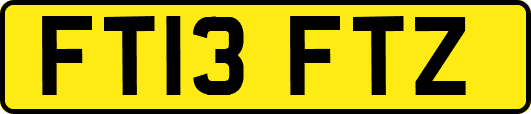 FT13FTZ