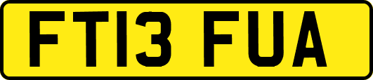 FT13FUA