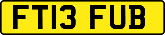 FT13FUB