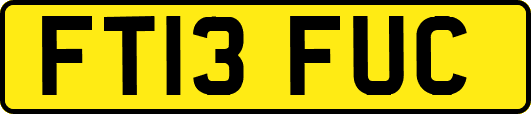 FT13FUC