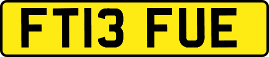 FT13FUE