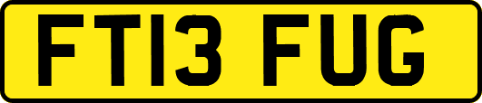 FT13FUG