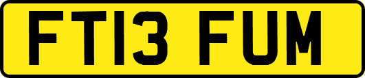 FT13FUM