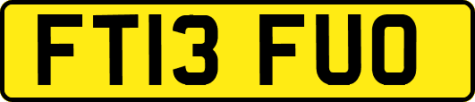 FT13FUO