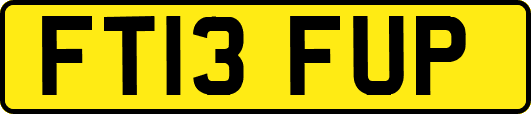 FT13FUP